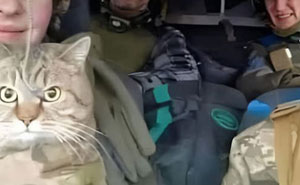 “Kitties Working Hard And Hardly Working”: 109 Delightful Pics Of Working Cats (New Pics)