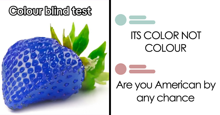 50 Ridiculous American Internet Comments That Deserved To Get Roasted