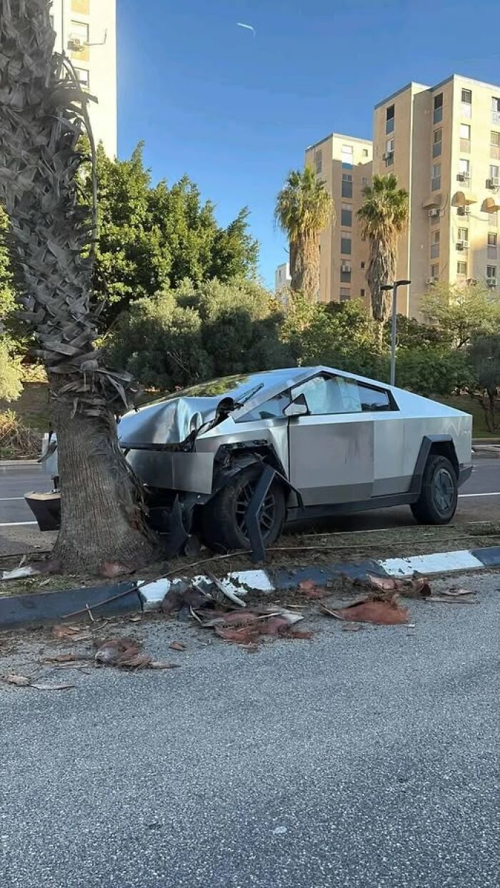 Silver Cybertruck crashed into a palm tree on a city street, wreckage strewn nearby, woke up expecting a normal day