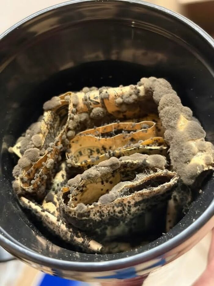 Storing Cash Gone Wrong