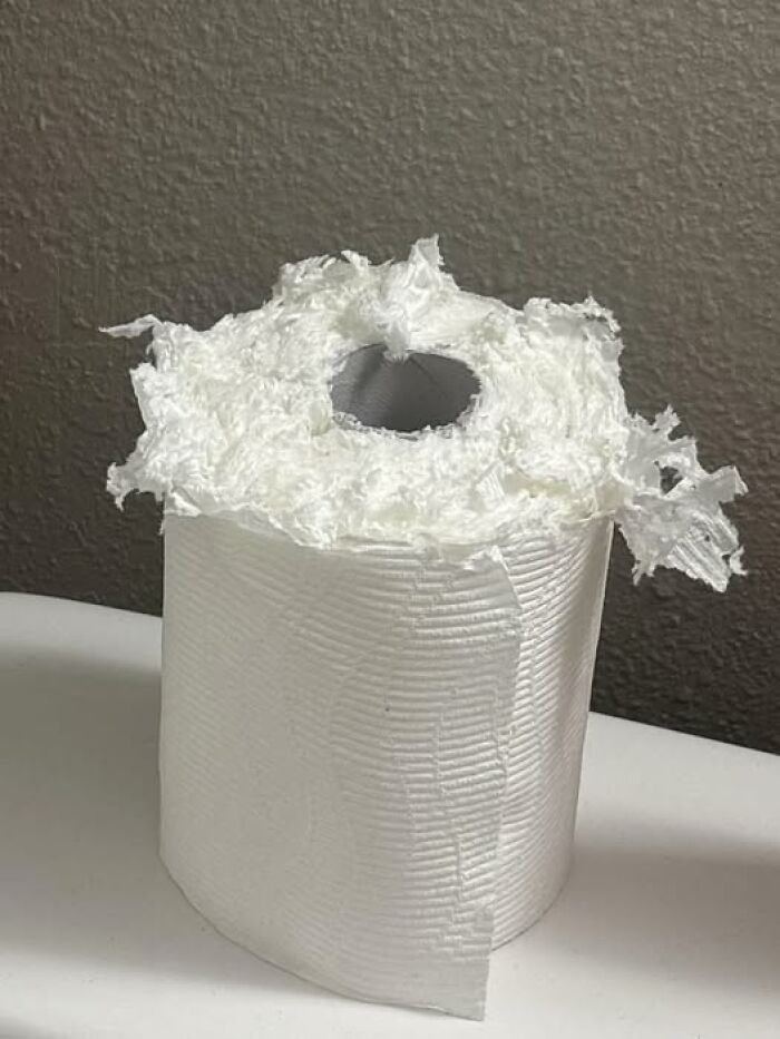 Toilet paper roll with shredded top, a woke up expecting surprise