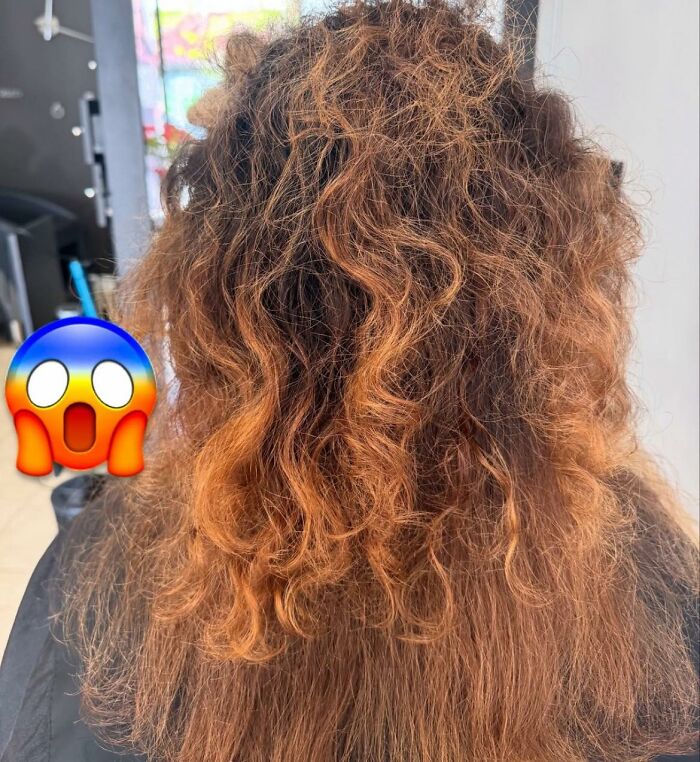 Disastrous hairstyles with tangled, frizzy, and unevenly colored curly hair in an indoor setting.