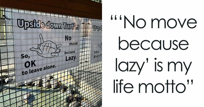 101 Hilarious Cases Showing Japan Getting Completely Lost While Translating To English