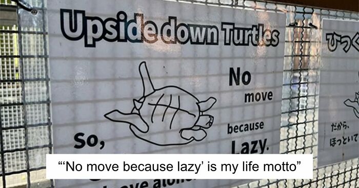 101 Hilarious Cases Showing Japan Getting Completely Lost While Translating To English