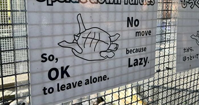 101 Hilarious Cases Showing Japan Getting Completely Lost While Translating To English