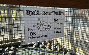 101 Hilarious Cases Showing Japan Getting Completely Lost While Translating To English