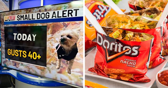 Midwest Is Not For Everyone As These 80 Hilariously Spot-On Memes Show