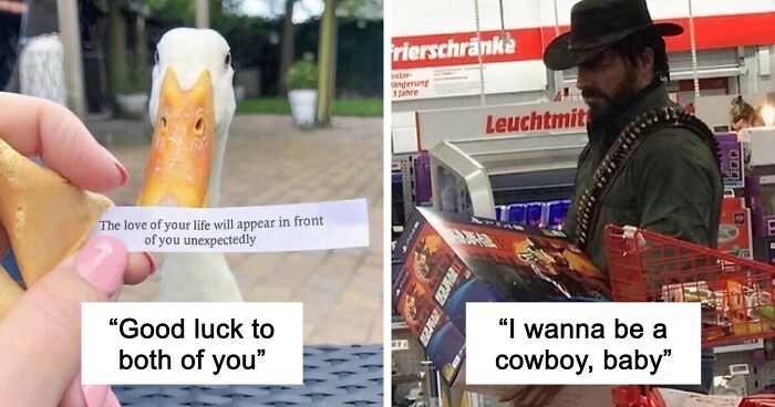 79 Confusing Pictures That Are Funny For No Clear Reason