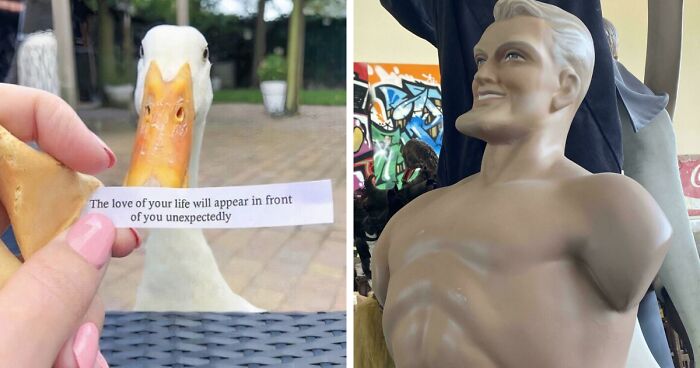 79 Confusing Pictures That Are Funny For No Clear Reason