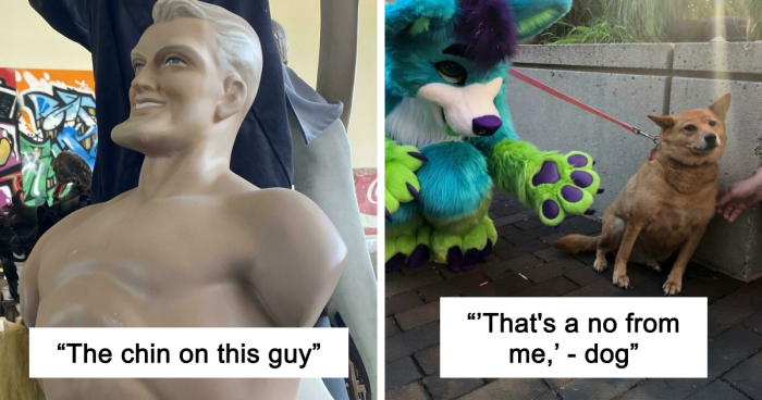 79 Hilarious Pictures That Don’t Explain Themselves And Never Will