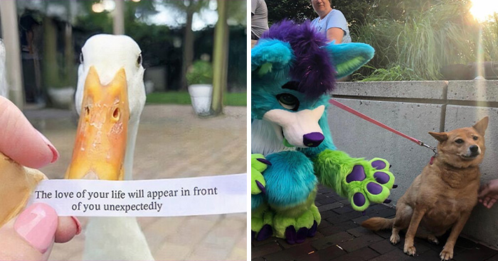 79 Hilarious Pictures That Don’t Explain Themselves And Never Will