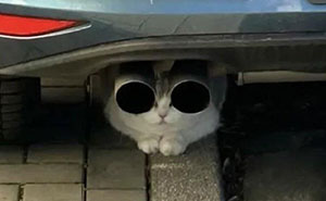 55 Funny Pictures From 2025 That Perfectly Sum Up How Weird Last Year Was