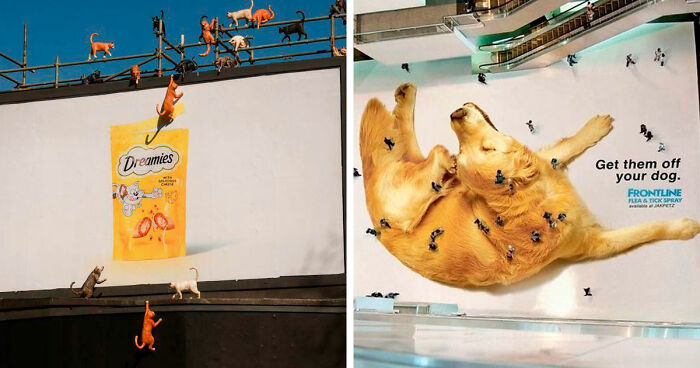 63 Brands That Let The Creative Team Loose And Made The Most Hilarious Print Advertisements