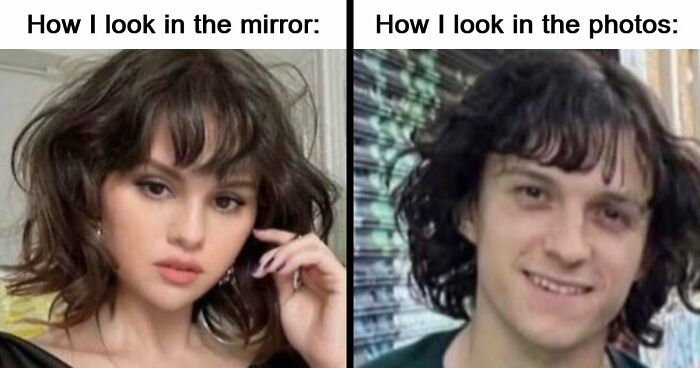 97 Funny Memes To Distract You From Whatever You’re Avoiding Right Now