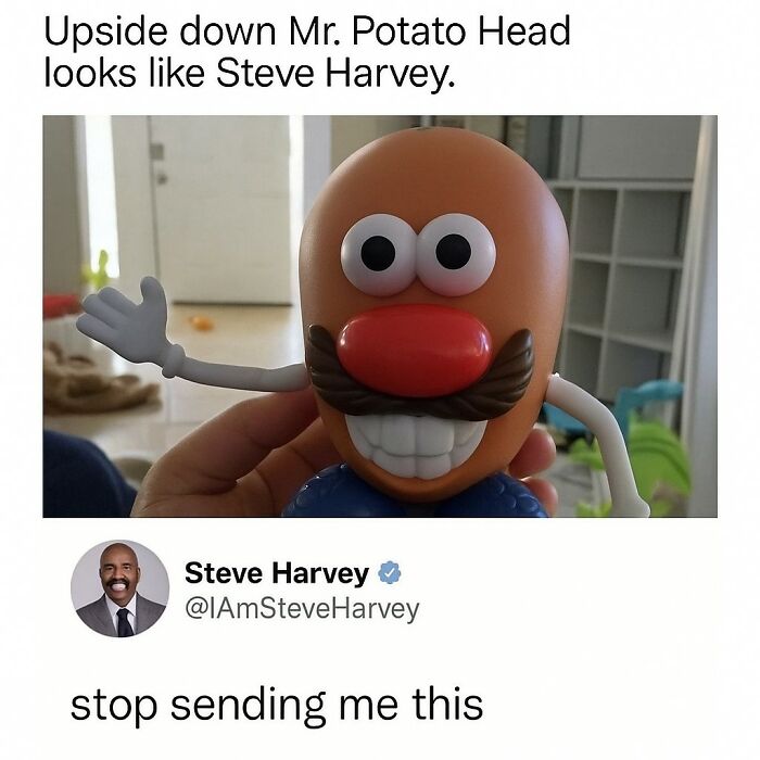 Funny meme showing Mr. Potato Head toy with caption comparing it to Steve Harvey, highlighting random humor and reactions.