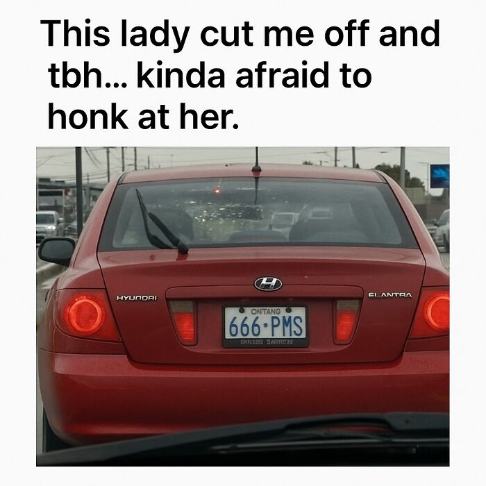 Red Hyundai Elantra with license plate 666 PMS on a busy road, part of funny memes featuring random humor about driving.