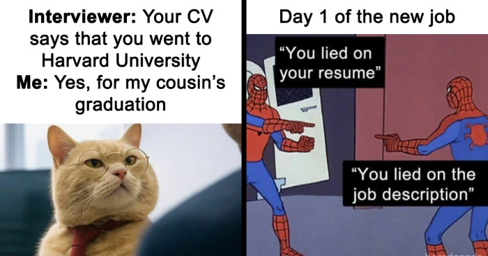 53 Funny Resume Memes For People Who Are One More Rejection Away From Losing It