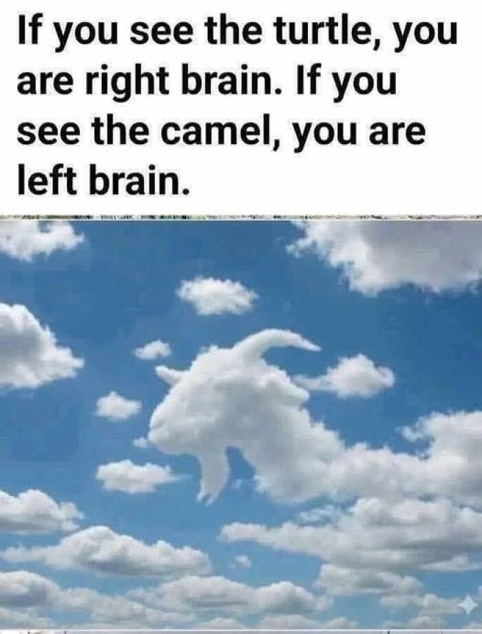 Cloud shaped like a camel or turtle with text about right brain and left brain, illustrating brain comprehension humor.