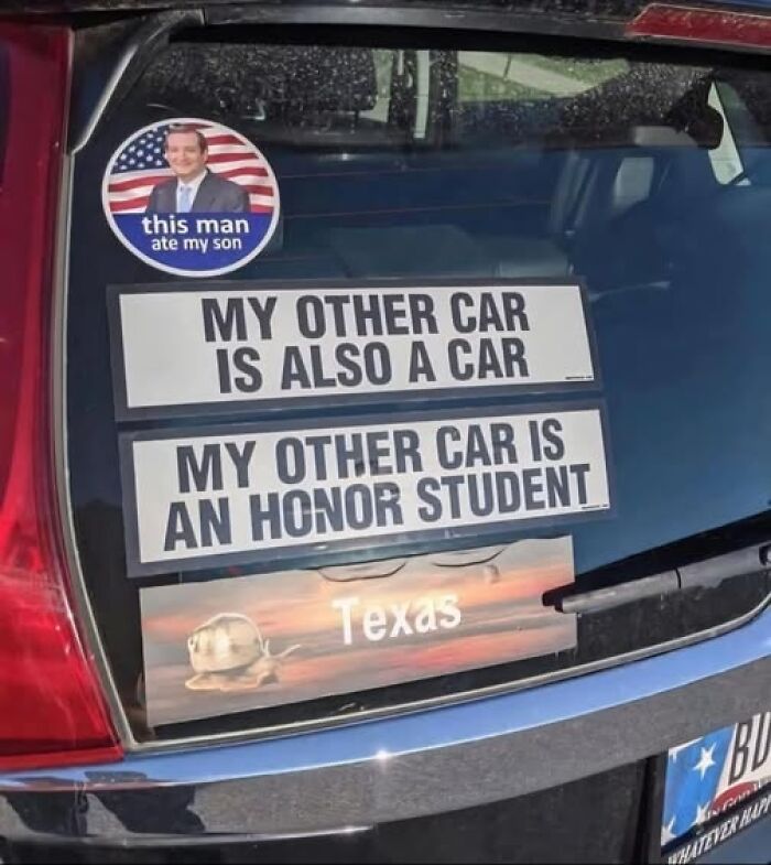 Car rear window with humorous stickers and a Texas-themed decal, illustrating people breaking their brain trying to understand.