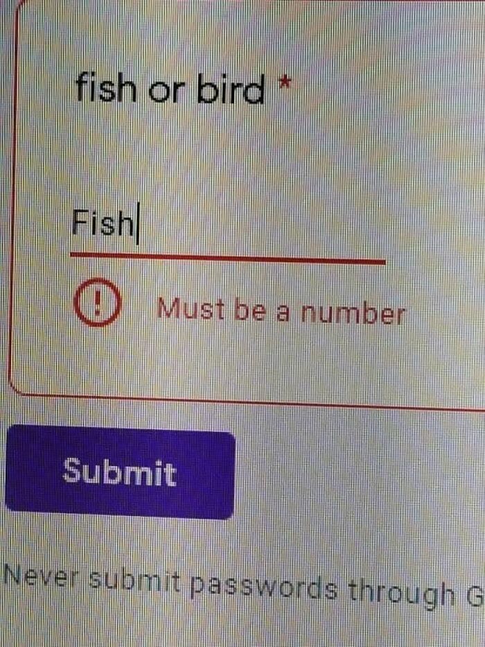 Form field labeled fish or bird rejecting text input with error message must be a number, humorous brain breaks reading.
