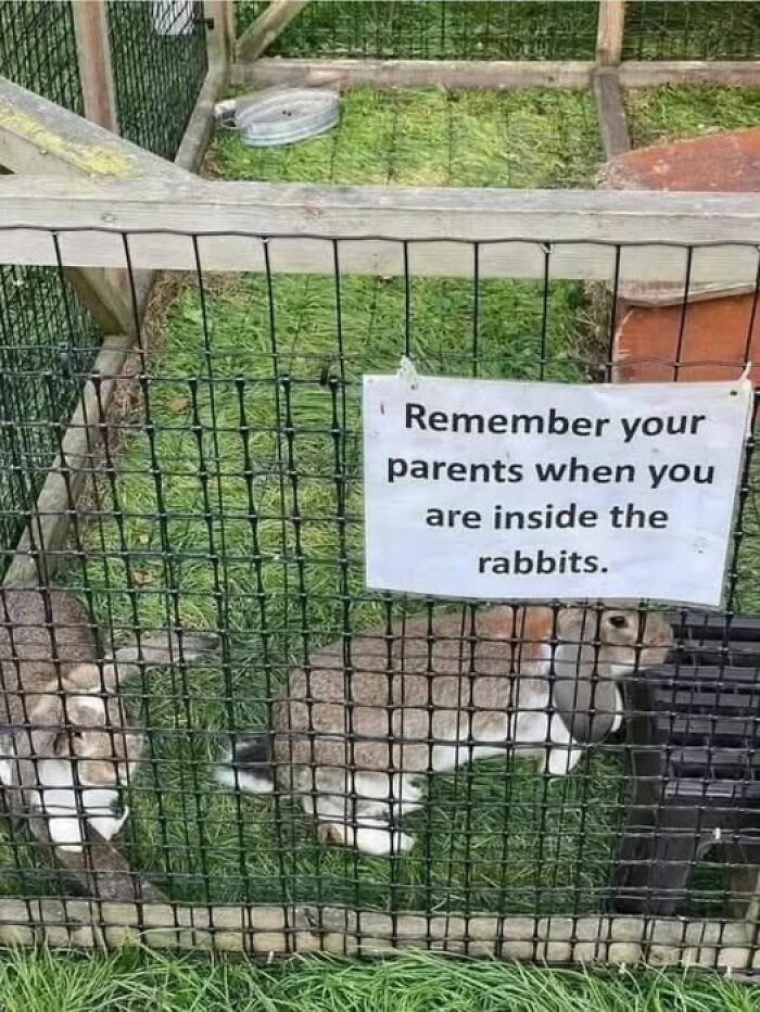 Sign on rabbit enclosure with confusing wording that breaks the brain, related to people trying to understand what they read.