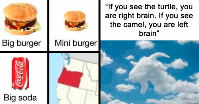 People Almost Had A Stroke Trying To Read These 108 Hilariously Confusing Pics