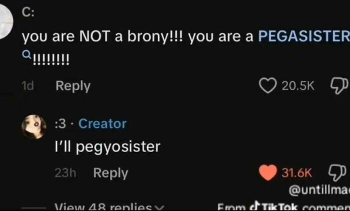 TikTok comment thread showing a funny exchange involving the word pegyosister with many likes and replies.