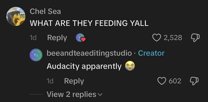 TikTok comment about unusual behavior with funny reply, illustrating weird and unhinged TikTok comments.