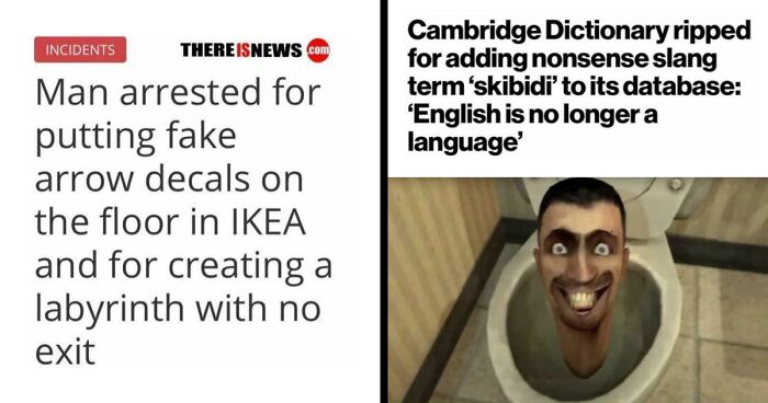 61 Wild Incidents That Would Be Hard To Believe If They Hadn’t Made Headlines