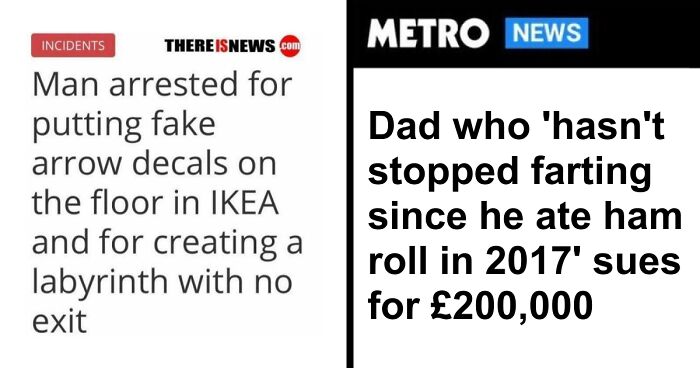 “Seal Breaks Into New Zealand Home”: 61 Unhinged Incidents That Made It Into The News