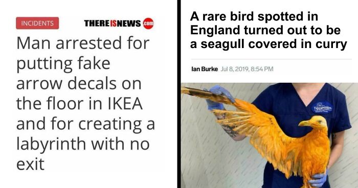 61 Wild Incidents That Would Be Hard To Believe If They Hadn’t Made Headlines
