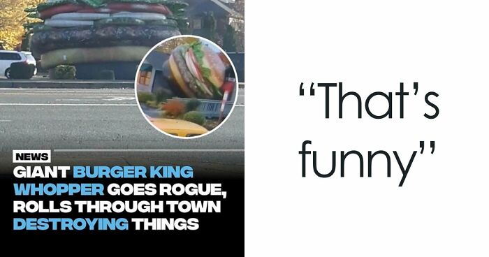 61 Wild Incidents That Would Be Hard To Believe If They Hadn’t Made Headlines