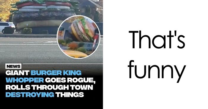 61 Wild Incidents That Would Be Hard To Believe If They Hadn’t Made Headlines