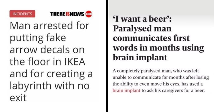 61 Wild Incidents That Would Be Hard To Believe If They Hadn’t Made Headlines