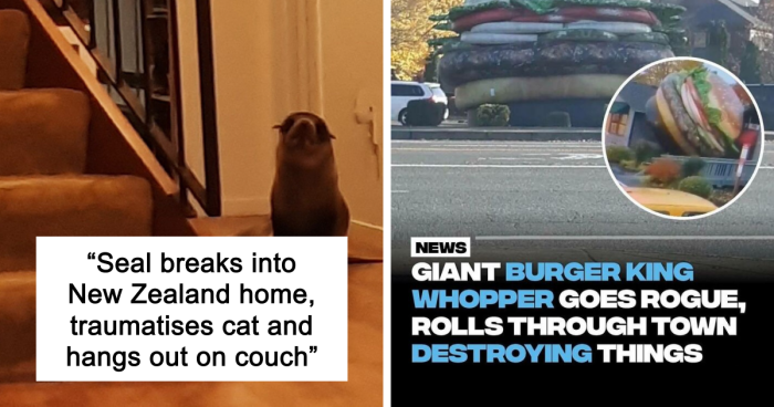 “Seal Breaks Into New Zealand Home”: 61 Unhinged Incidents That Made It Into The News