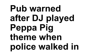 “Seal Breaks Into New Zealand Home”: 61 Unhinged Incidents That Made It Into The News