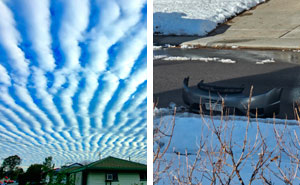 91 Times People Witnessed Something So Off, It Felt Like We Were Living In A Simulation