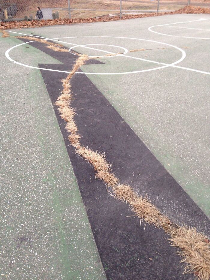 Grass growing through a failed DIY patch on a basketball court pathway, showing poor maintenance and repair attempt.