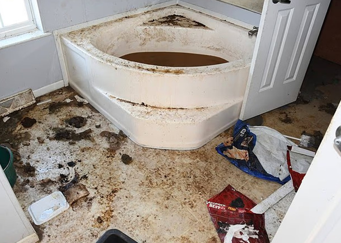 Dirty, abandoned mobile home bathroom with mold and debris on the floor showing neglect from horrific situation. Dirty, abandoned mobile home bathroom with mold and debris on the floor showing neglect from horrific situation.