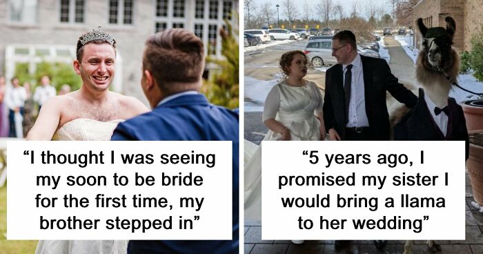 68 Photos That Prove Life Is More Fun When You Have Siblings (New Pics)