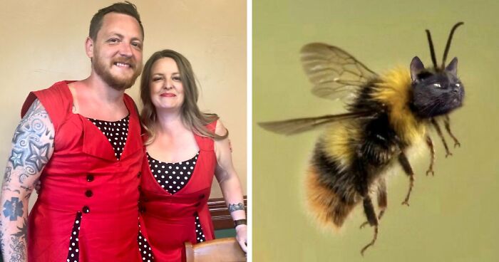 68 Photos That Prove Life Is More Fun When You Have Siblings (New Pics)