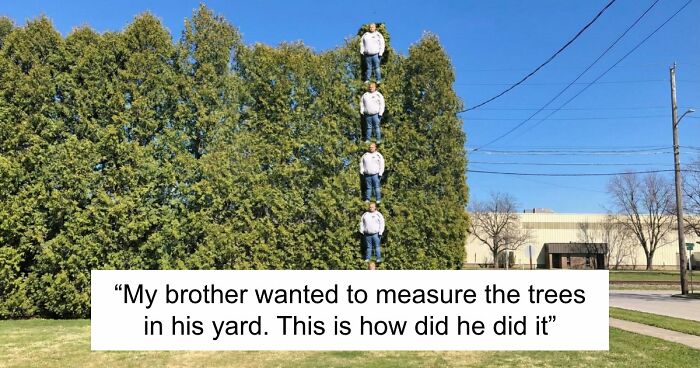 68 Photos That Prove Life Is More Fun When You Have Siblings (New Pics)