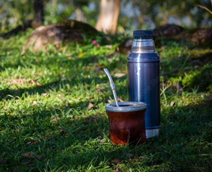 Traditional yerba mate cup with metal straw and thermos bottle on grass, showcasing unique household items from different countries.