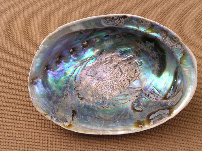 Close-up of a unique household item with iridescent surface shared by people from different countries.