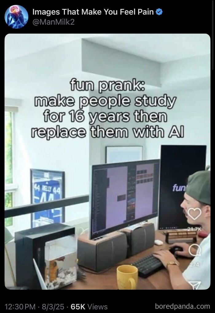 Man working at a computer with text about studying for 16 years and being replaced by AI in a dystopia context.