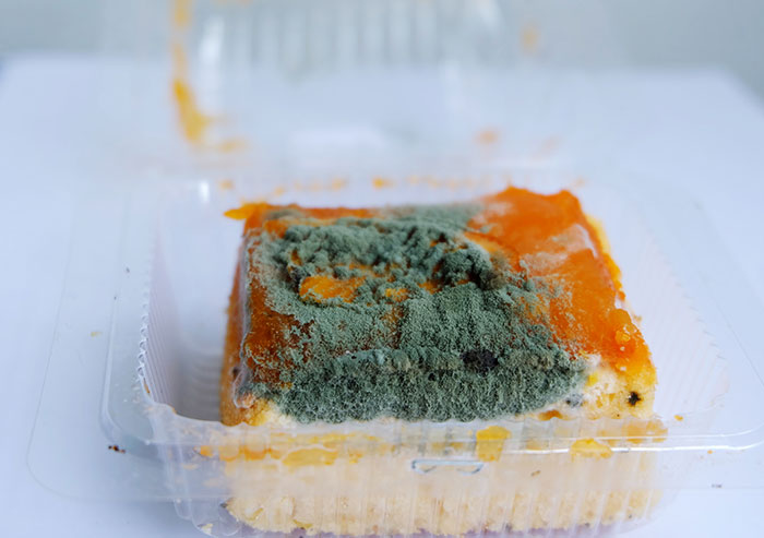 Moldy food in a plastic container symbolizing a wife furious after husband embarrasses her in front of her parents. Moldy food in a plastic container symbolizing a wife furious after husband embarrasses her in front of her parents.