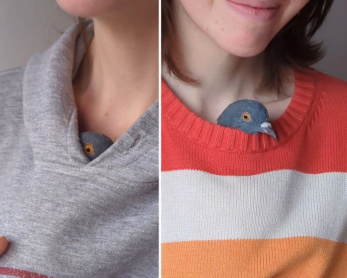 A woman gently holding a half-blind pigeon inside her sweater, showing care during their daily walks.