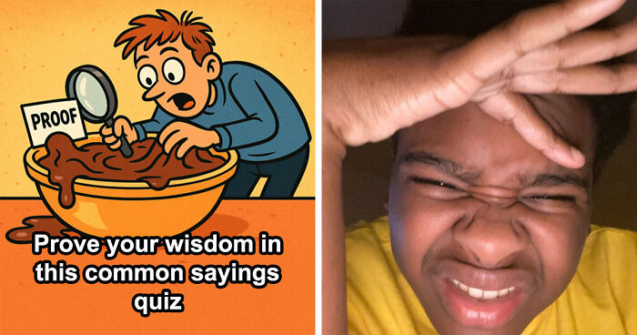 Match These Illustrations Of 35 Common Sayings To Prove Your Wisdom In This Visual Quiz