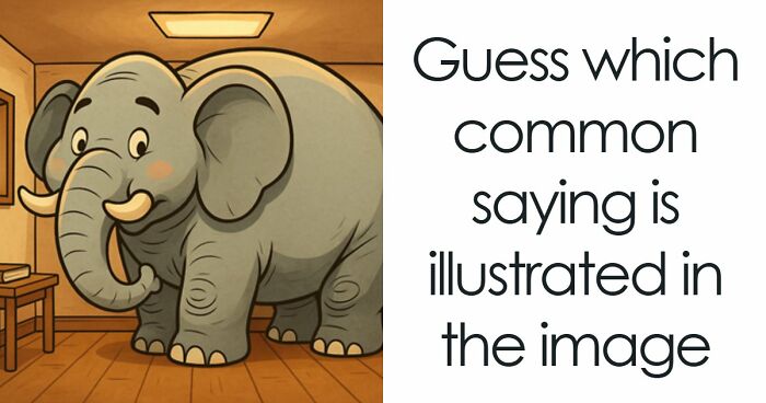 Match These Illustrations Of 35 Common Sayings To Prove Your Wisdom In This Visual Quiz