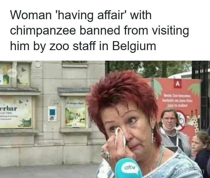 Woman wiping tears in front of zoo, illustrating dark humor meme about banned chimpanzee affair in Belgium.